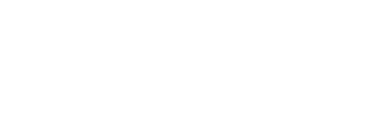 Trigueiro Network